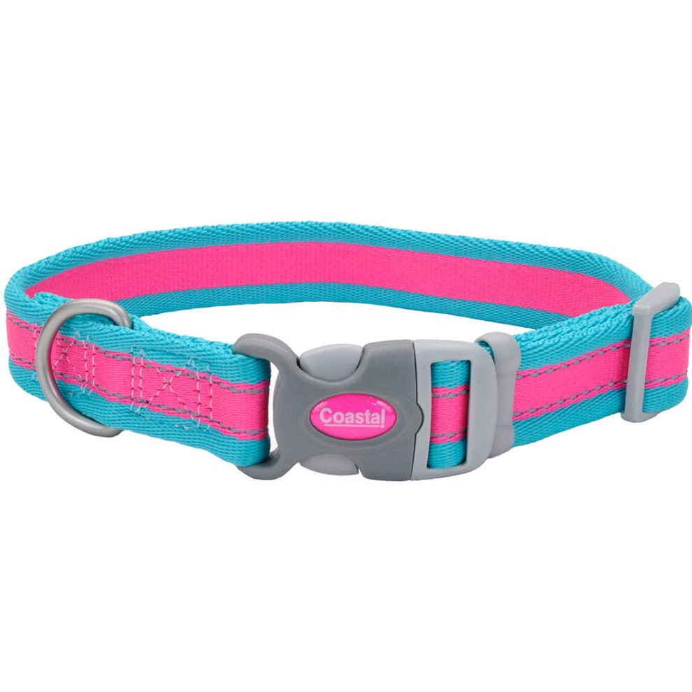 COASTAL PERRO PRO FUCSIA CON AZUL COLLAR LARGE 1"