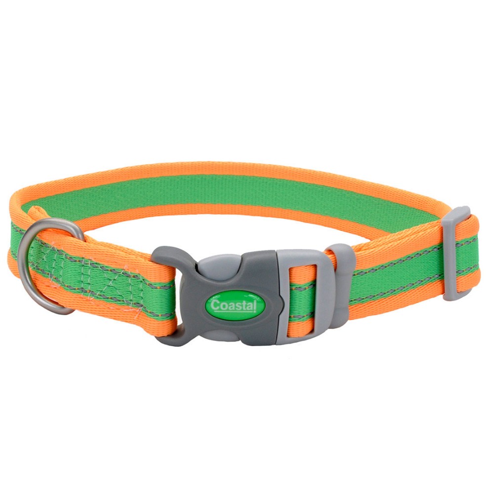 COASTAL PERRO PRO LIMA CON NARANJA COLLAR LARGE 1"