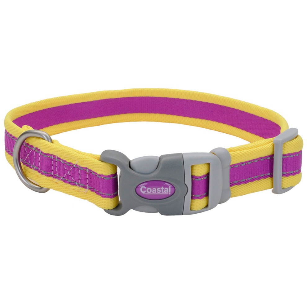 COASTAL PERRO PRO MORADO CON AMARILLO COLLAR SMALL 3/4"