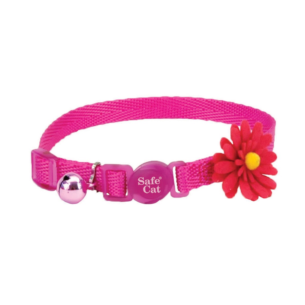 COASTAL COLLAR GATO ADORNOS FUCSIA