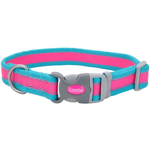 [12921 FWT20] COASTAL PERRO PRO FUCSIA CON AZUL COLLAR MEDIUM 3/4"