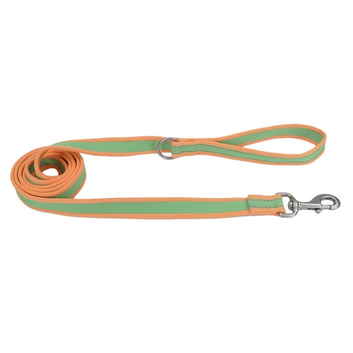 [12926 LWO06] COASTAL PERRO PRO LIMA CON NARANJA CORREA LARGE 1"