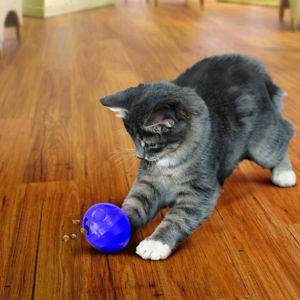 KONG GATO PELOTA DISPENSADORA SNACKS