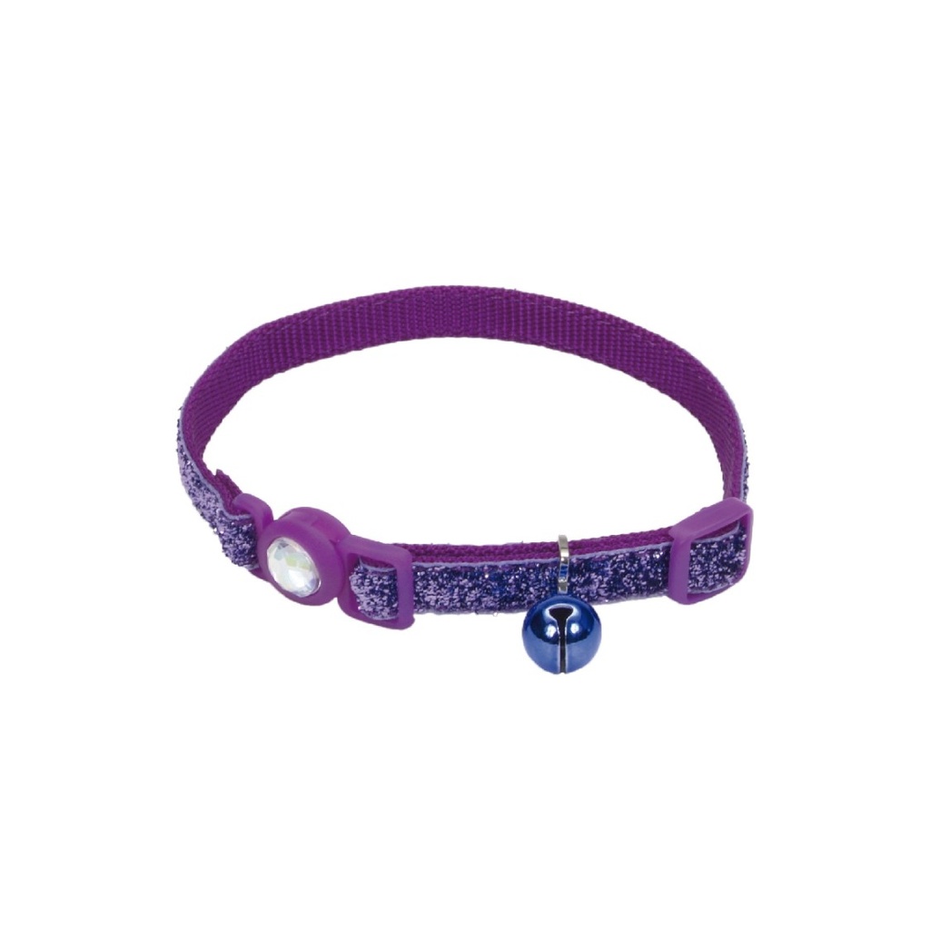 COASTAL COLLAR GATO BRILLANTE MORADO