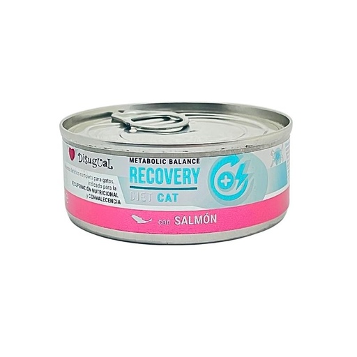 [957770 DI] DISUGUAL CAT RECOVERY DIET - SALMON LATA POR 85 GR