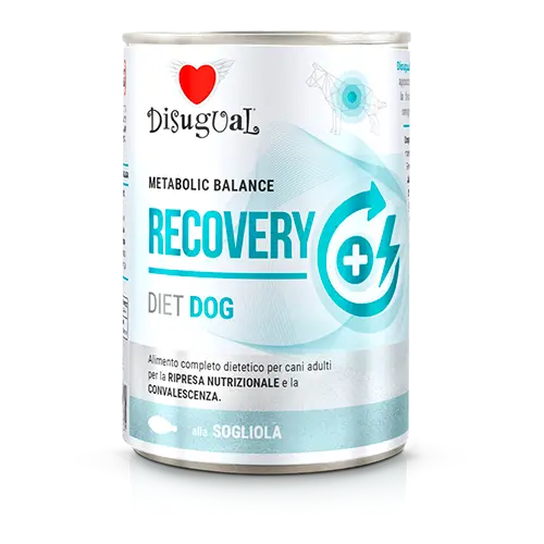 [DTES023 DI] DISUGUAL DOG RECOVERY DIET - PESCADO SOLE LATA POR 400 GR