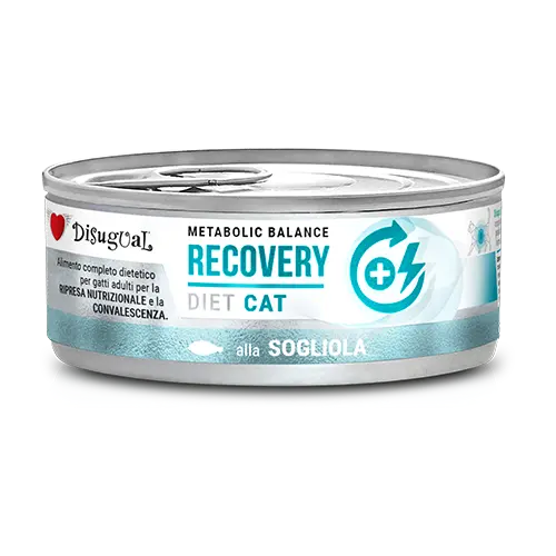[DTESG023 DI] DISUGUAL CAT RECOVERY DIET  - PESCADO SOLE LATA POR 85 GR