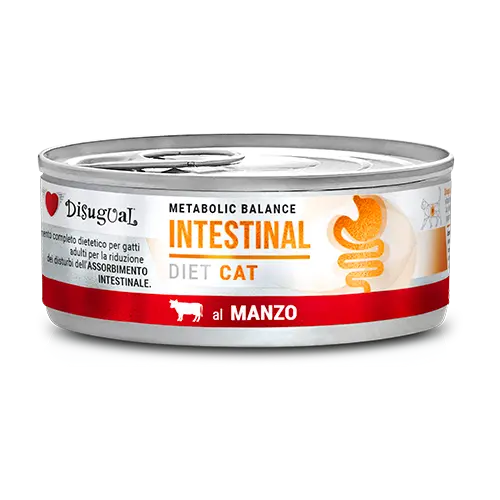 [DTESG031 DI] DISUGUAL CAT INTESTIONAL DIET - CARNE LATA POR 85 GR