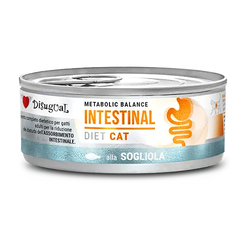 [DTESG033 DI] DISUGUAL CAT INTESTIONAL DIET - PESCADO SOLE LATA POR 85 GR