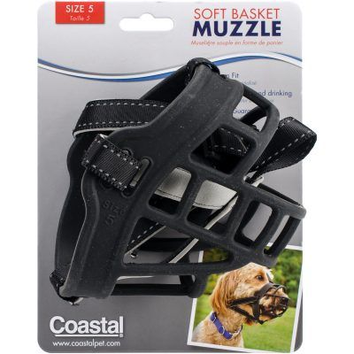 [01365 BLK05] COASTAL PERRO BOZAL BASKET  TALLA 5