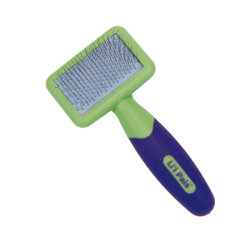 [W6202] LIL PALS PERRO GROOMING CEPILLO