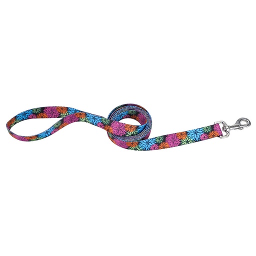 [964 WDF04] COASTAL PERRO STYLES FLORES NEGRO CORREA LARGE 1"